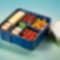 Innovative Container Store Bento Box Design